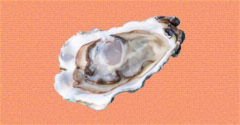 vienese oyster